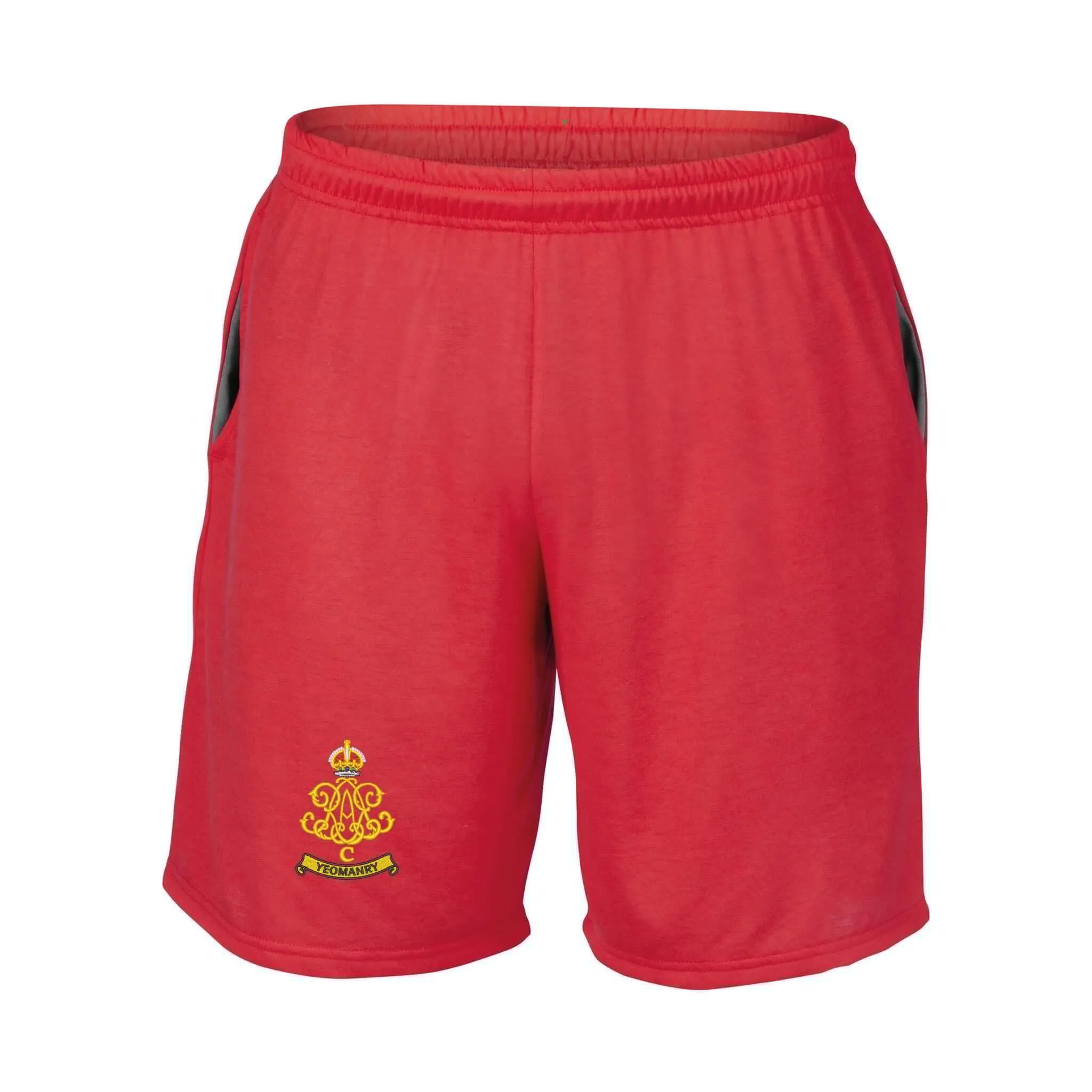 100th Regiment Royal Artillery Performance Shorts