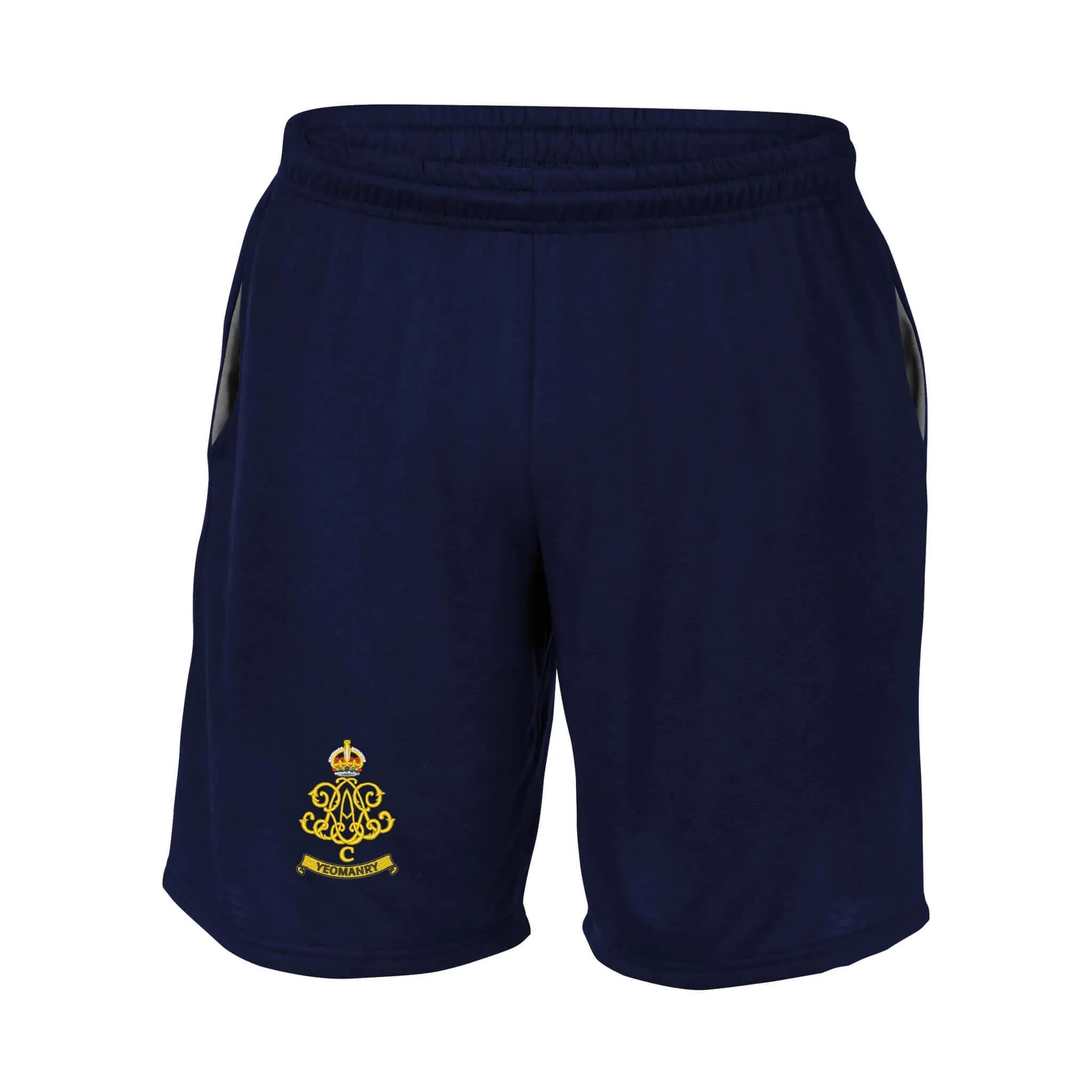 100th Regiment Royal Artillery Performance Shorts