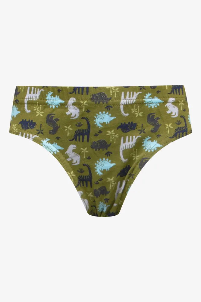 5 Pack Dino Briefs Grey, Green & Blue