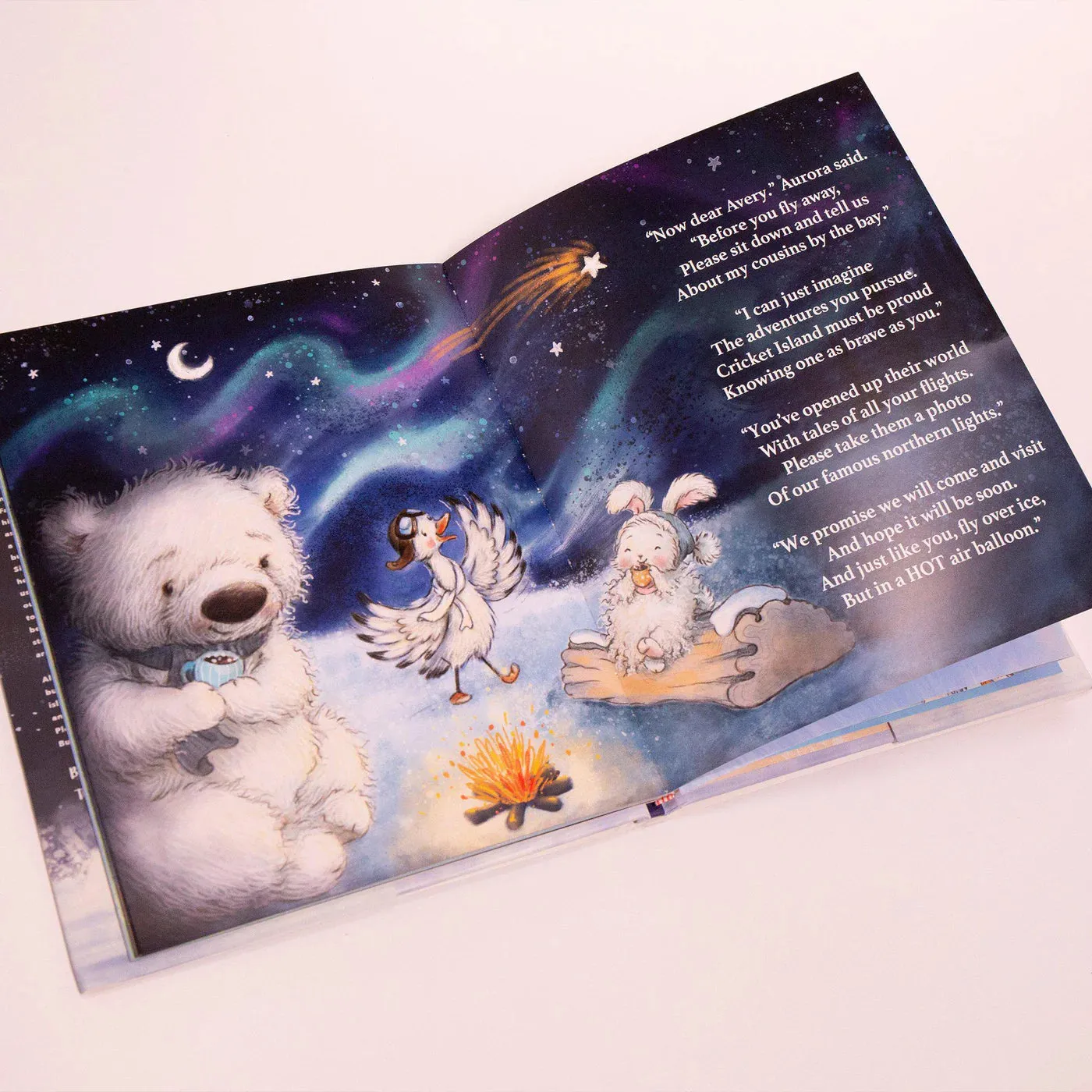 Avery The Aviator Braves the Arctic Book