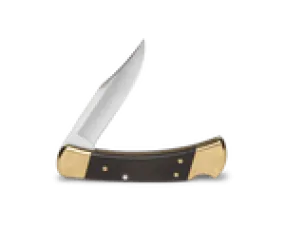 Buck 110 Hunter Knife