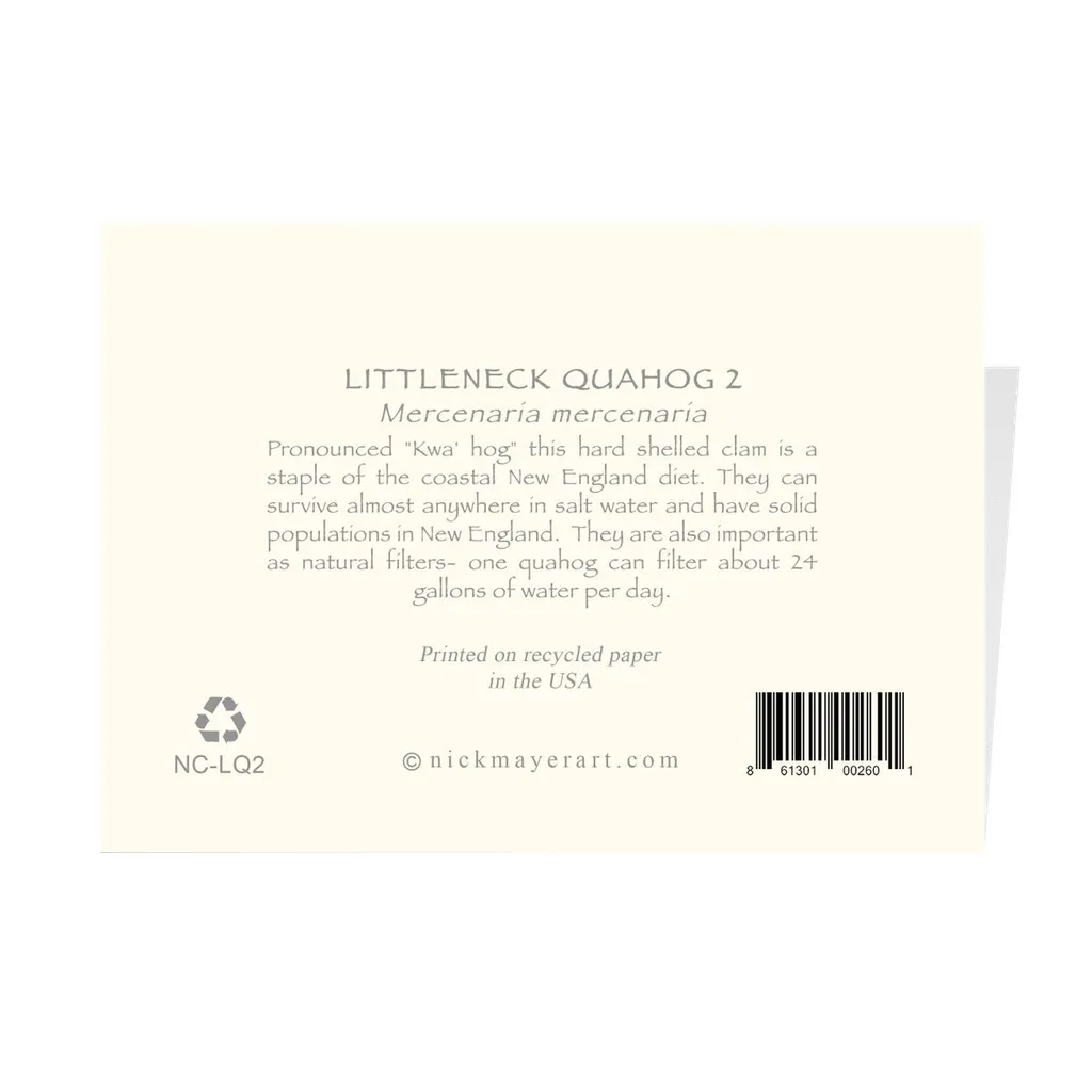 Littleneck Quahog Notecards