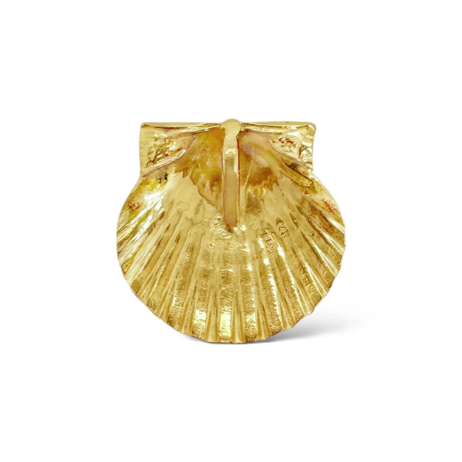 Medium Ridged Scallop Pendant
