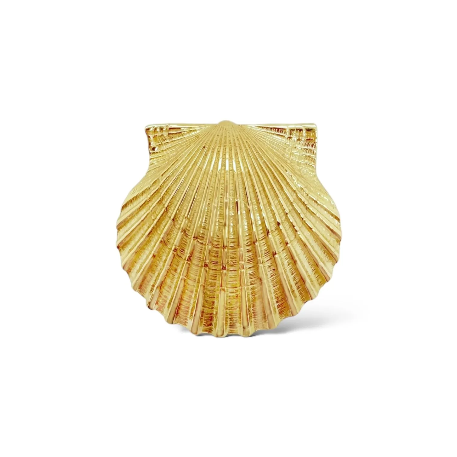 Medium Ridged Scallop Pendant