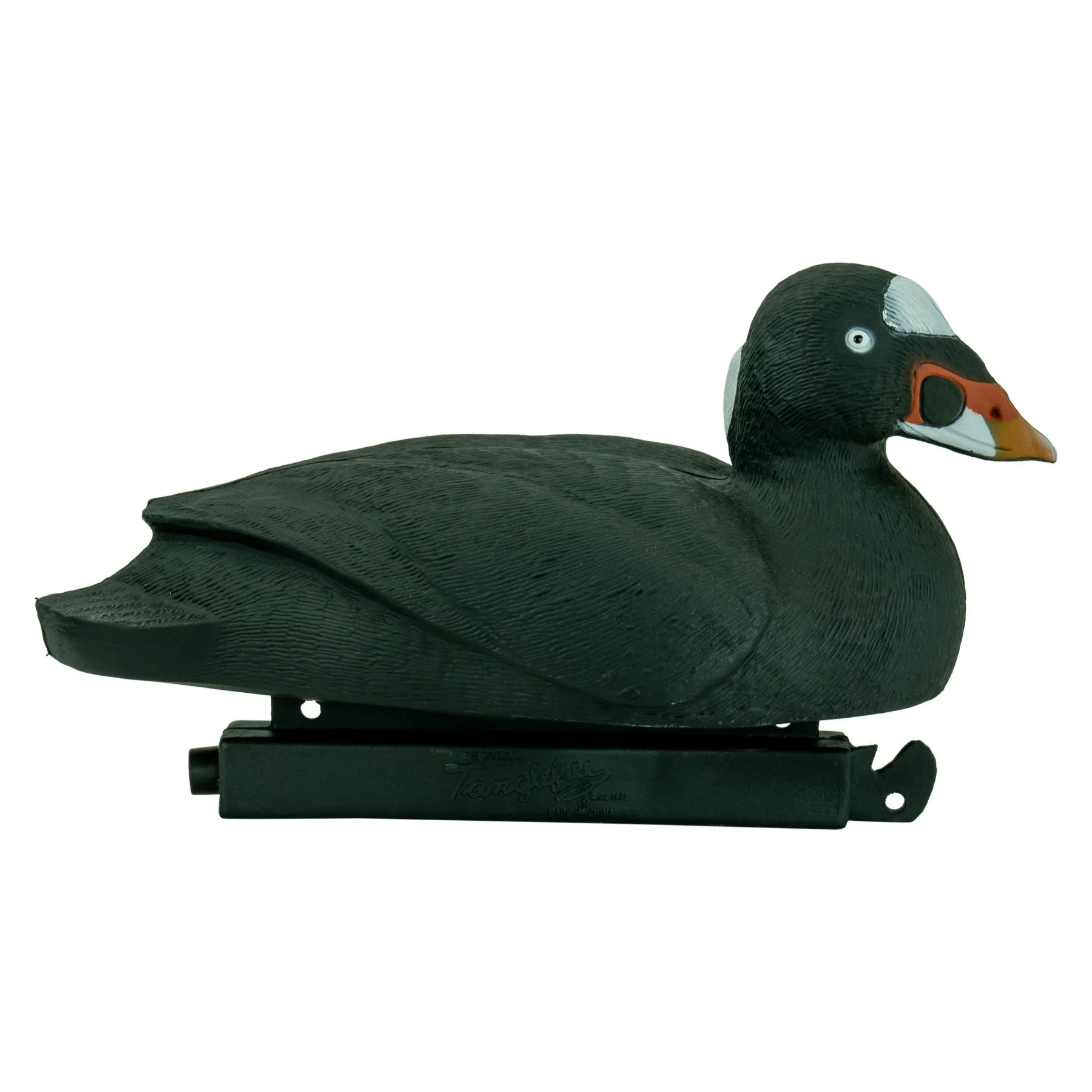Migration Edition Surf Scoter