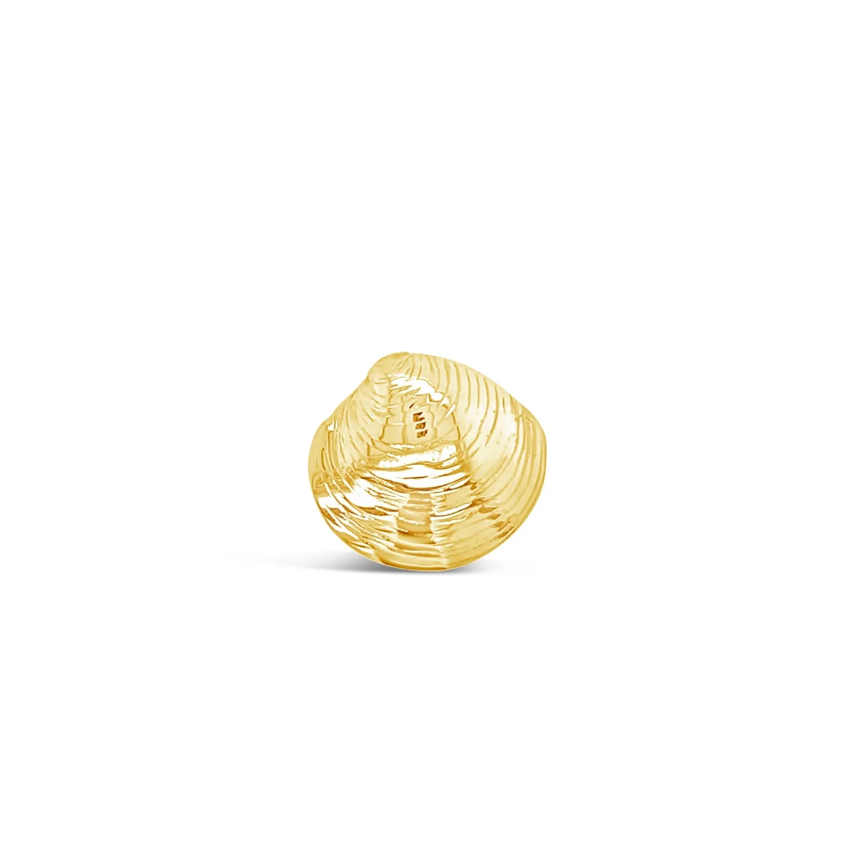 Quahog Shell Pendant
