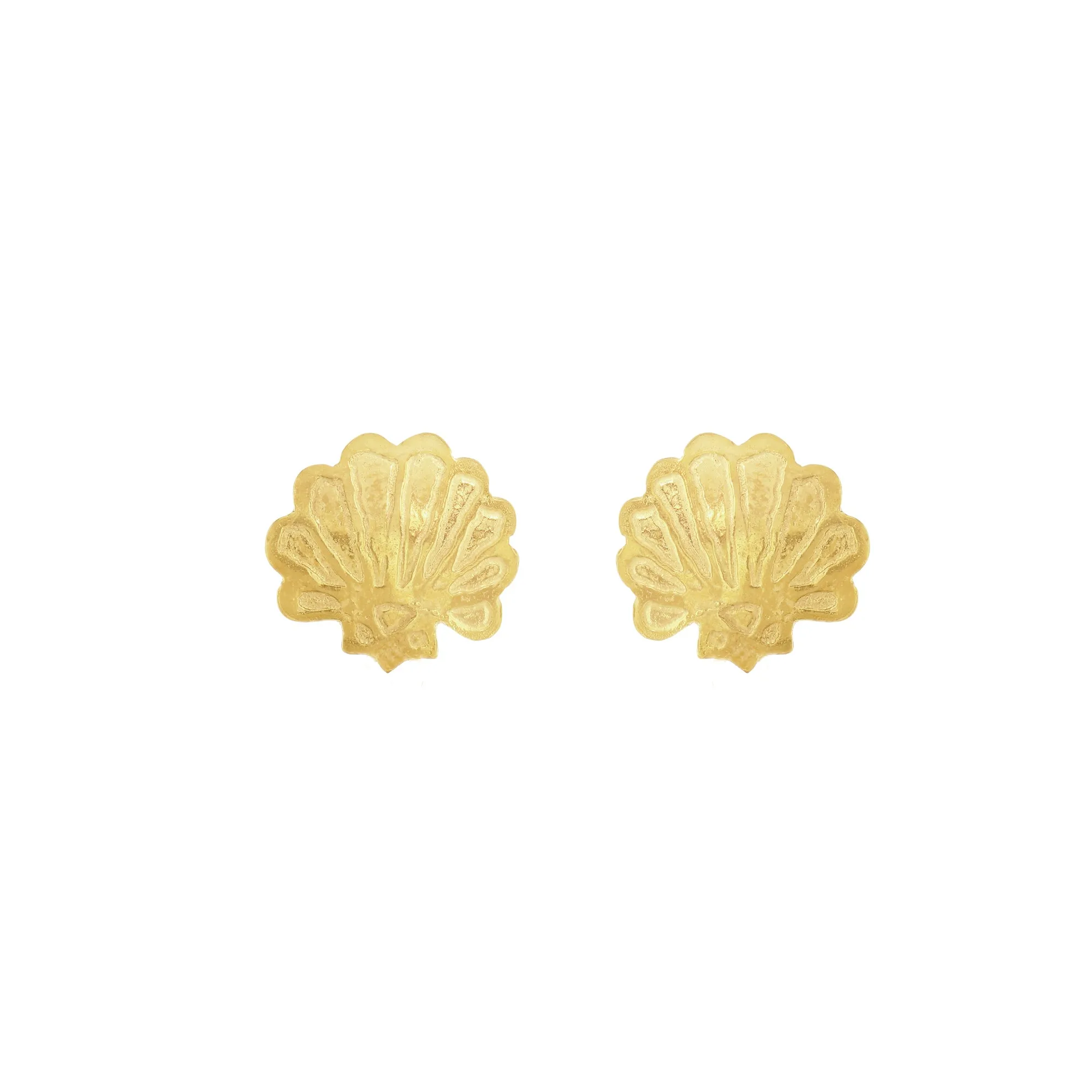 Scallop Stud Earrings
