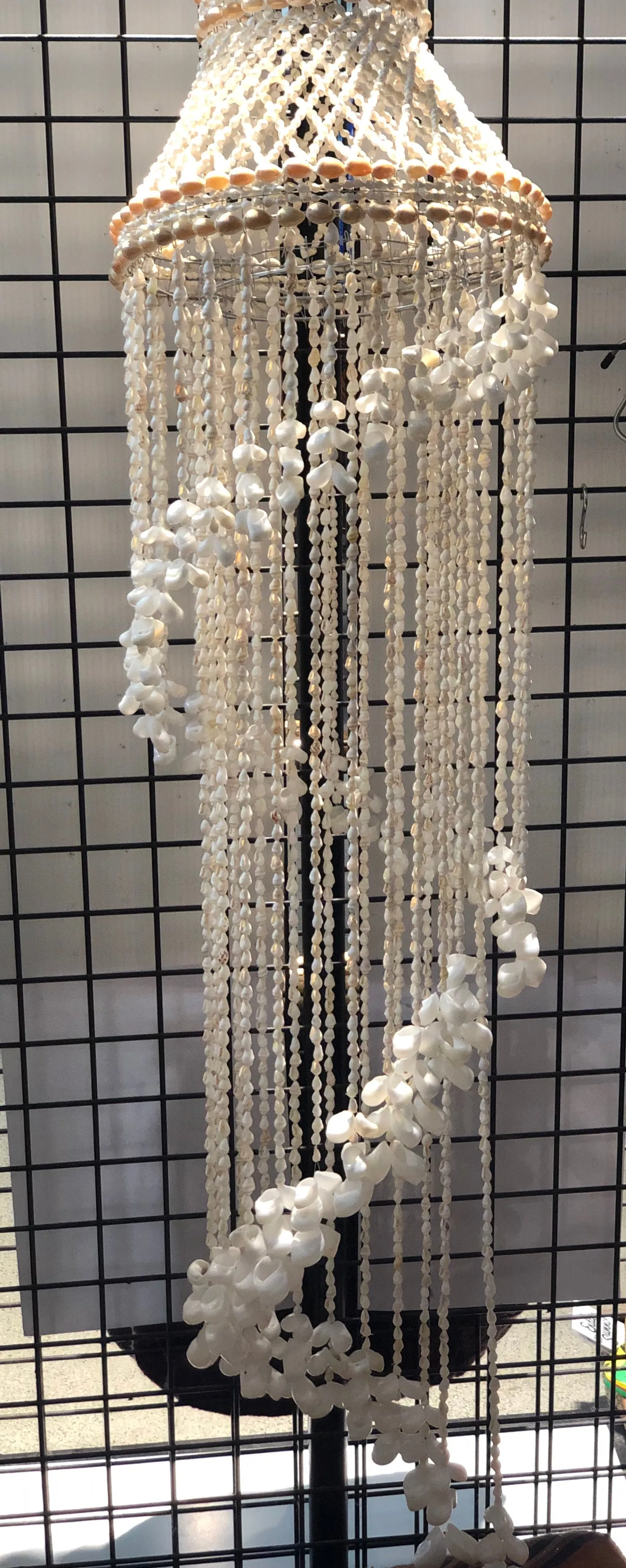 Shell Chandelier