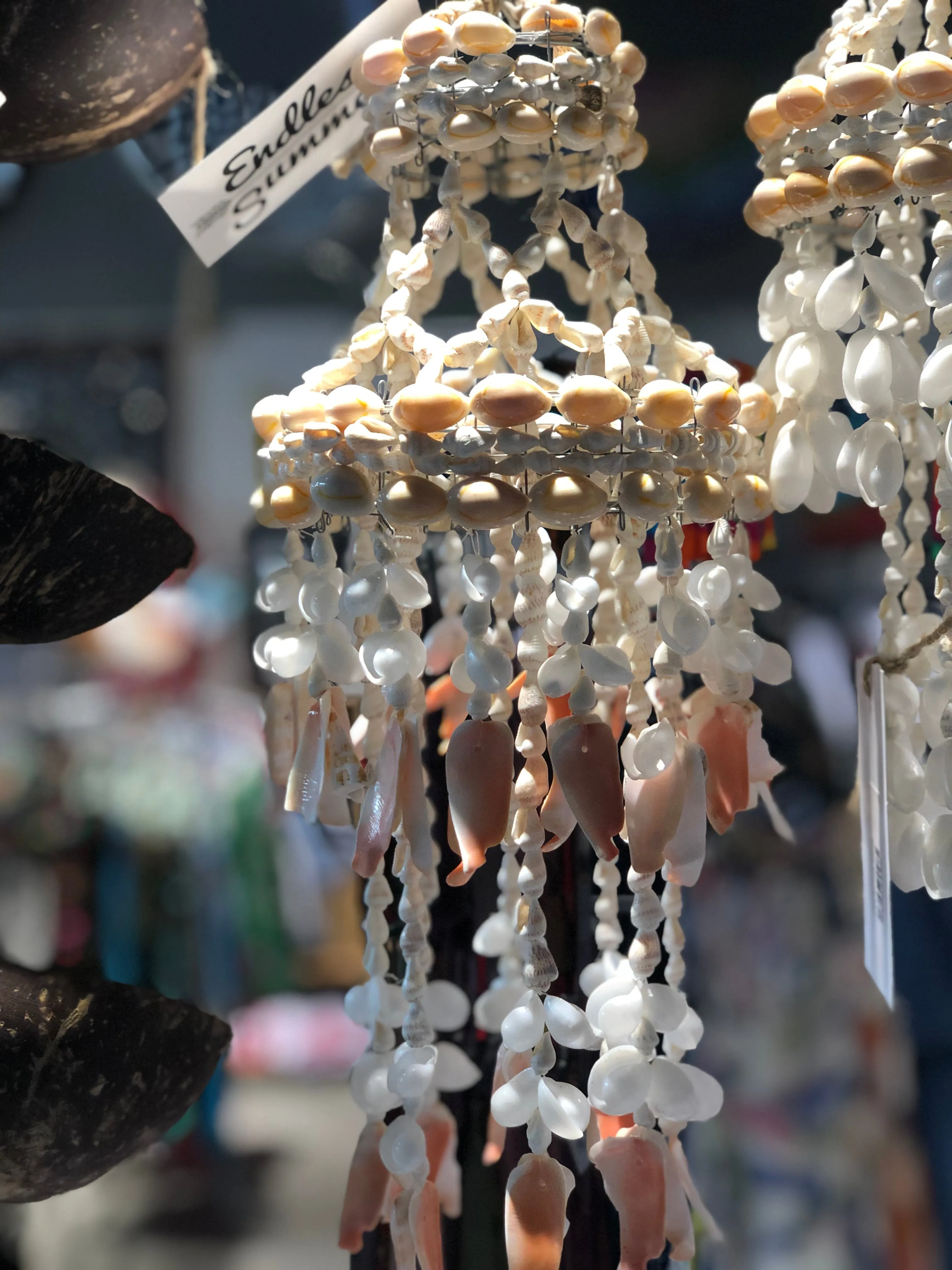 Shell Chandelier
