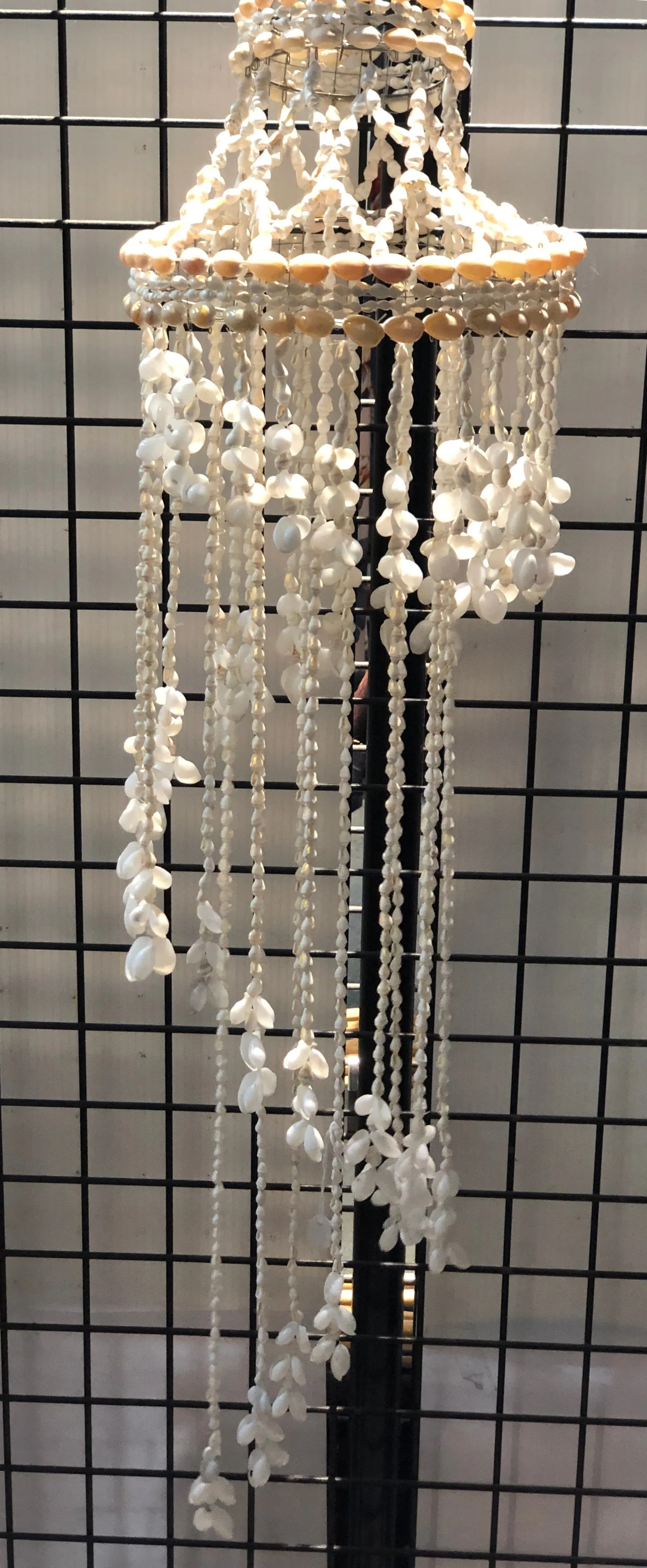 Shell Chandelier