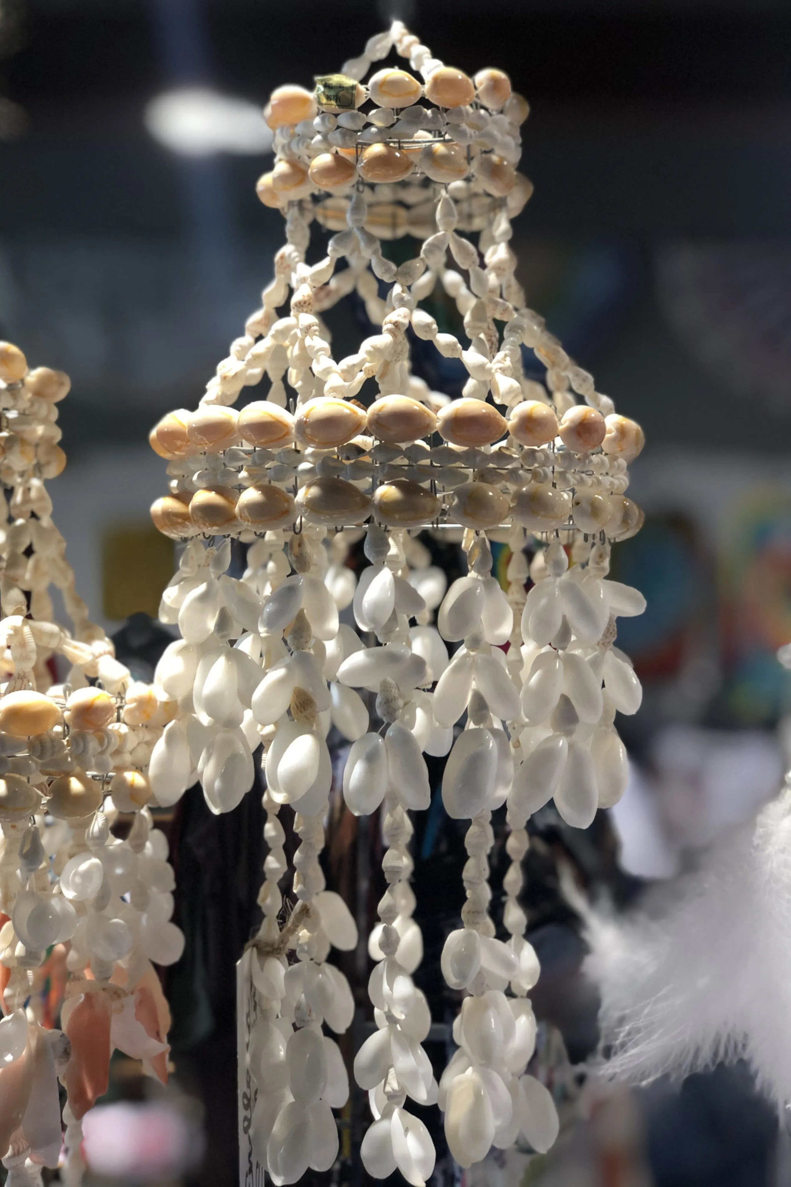 Shell Chandelier