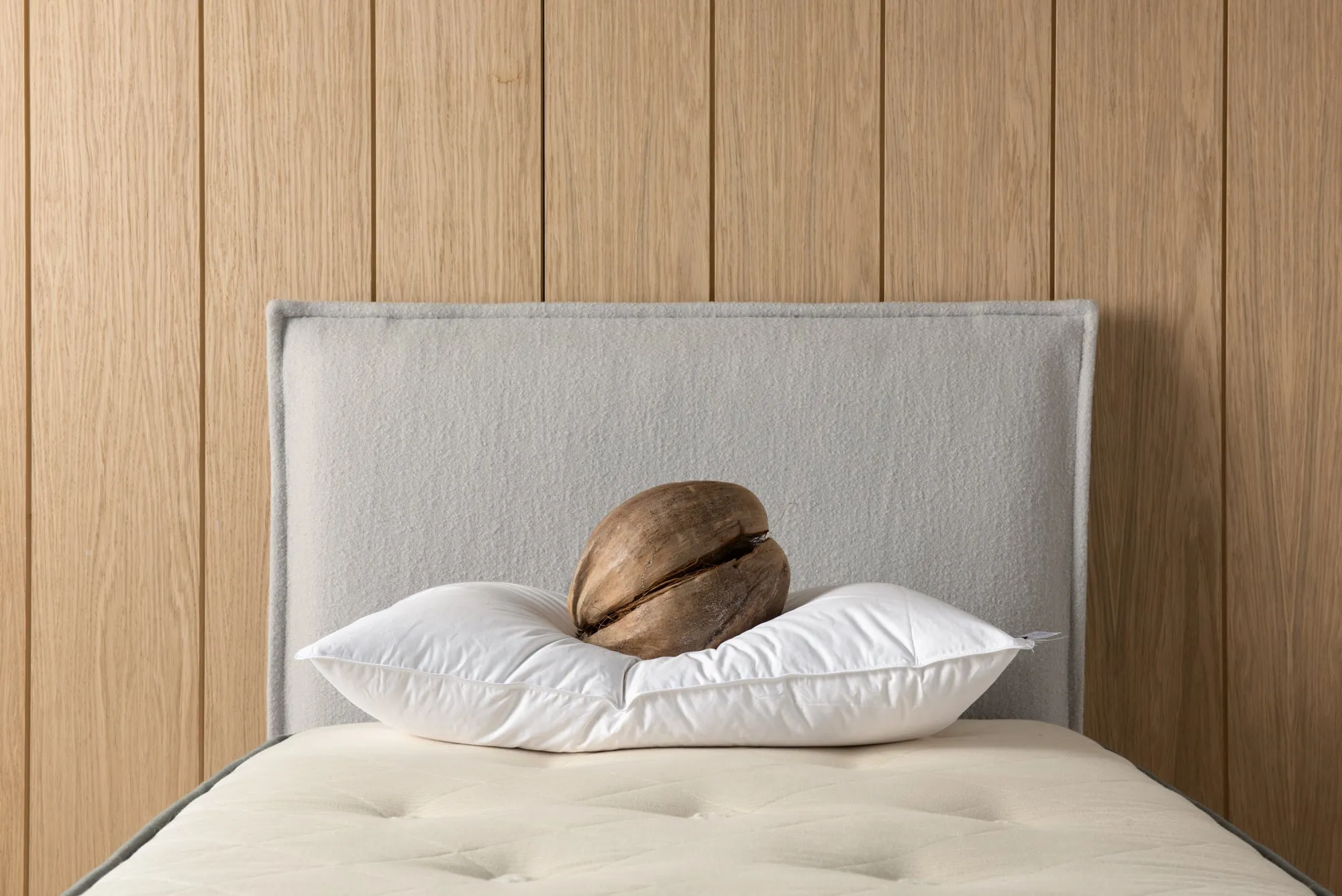 The Goose Down Pillow