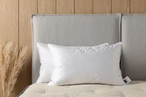 The Goose Down Pillow