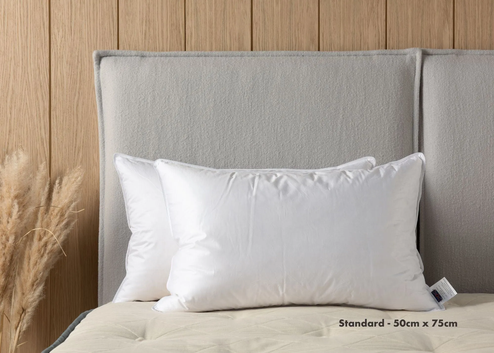 The Goose Down Pillow