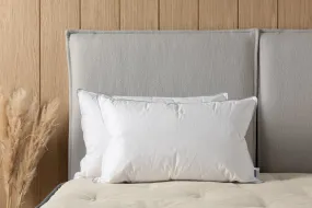 The Wool and Down Pillow
