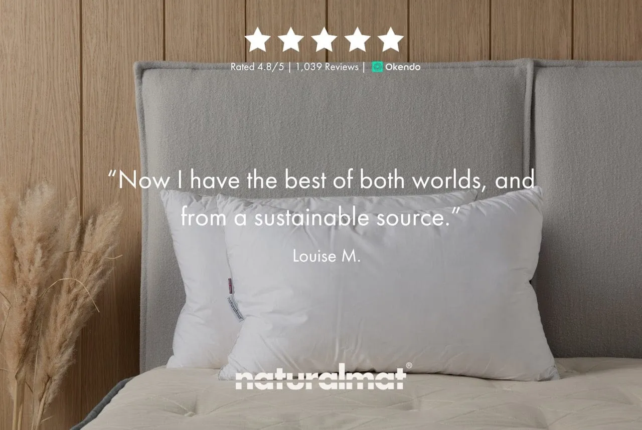 The Wool and Down Pillow